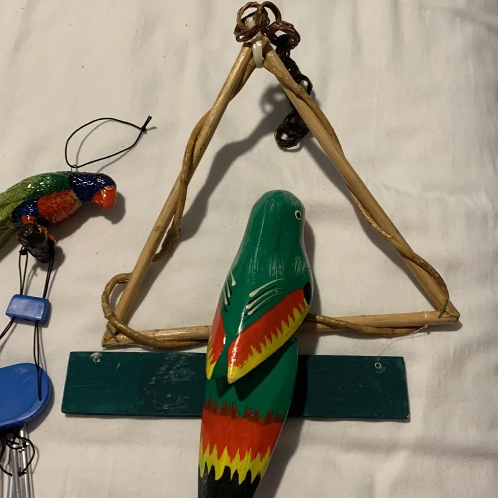 Parrots 🦜 - Picture 4 of 12